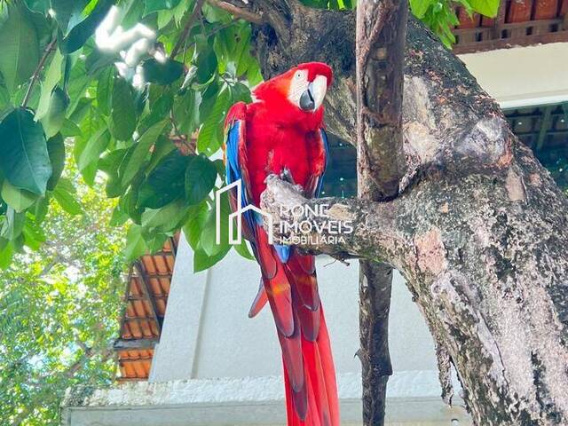 #114 - Casa para Venda em Salinópolis - PA